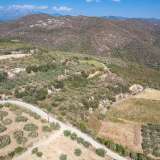  For Sale - (€ 0 / m2), Agricultural 9000 m2 Eleftheres 8097613 thumb4