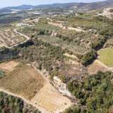  For Sale - (€ 0 / m2), Agricultural 9000 m2 Eleftheres 8097613 thumb6