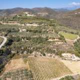  For Sale - (€ 0 / m2), Agricultural 9000 m2 Eleftheres 8097613 thumb5