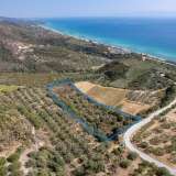  For Sale - (€ 0 / m2), Agricultural 9000 m2 Eleftheres 8097613 thumb0