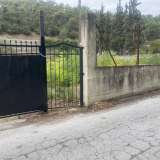  For Rent , Agricultural 2100 m2 Kavala 8097666 thumb0