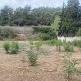  For Rent , Agricultural 2100 m2 Kavala 8097666 thumb5