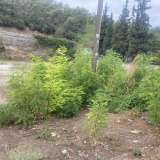 For Rent , Agricultural 2100 m2 Kavala 8097666 thumb1