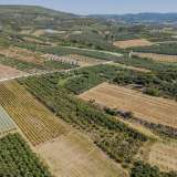  For Sale - (€ 0 / m2), Agricultural 10562 m2 Orfano 8097668 thumb5