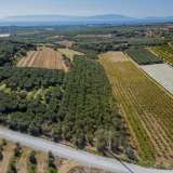  For Sale - (€ 0 / m2), Agricultural 10562 m2 Orfano 8097668 thumb8