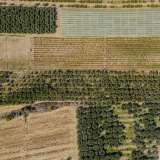  For Sale - (€ 0 / m2), Agricultural 10562 m2 Orfano 8097668 thumb2