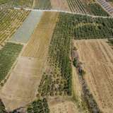  For Sale - (€ 0 / m2), Agricultural 10562 m2 Orfano 8097668 thumb4