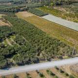  For Sale - (€ 0 / m2), Agricultural 10562 m2 Orfano 8097668 thumb9