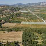  For Sale - (€ 0 / m2), Agricultural 10562 m2 Orfano 8097668 thumb1