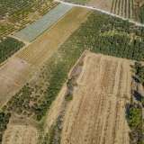  For Sale - (€ 0 / m2), Agricultural 10562 m2 Orfano 8097668 thumb3
