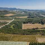  For Sale - (€ 0 / m2), Agricultural 10562 m2 Orfano 8097668 thumb6