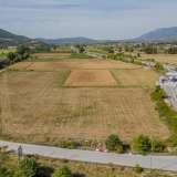  For Sale - (€ 0 / m2), Agricultural 24000 m2 Pierea 8097669 thumb0