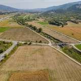  For Sale - (€ 0 / m2), Agricultural 24000 m2 Pierea 8097669 thumb8