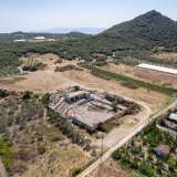  For Sale - (€ 0 / m2), Agricultural 5000 m2 Eleftheres 8097673 thumb7