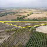  For Sale - (€ 0 / m2), Agricultural 10298 m2 Chrisoupoli 8097681 thumb9