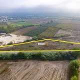  For Sale - (€ 0 / m2), Agricultural 10298 m2 Chrisoupoli 8097681 thumb4