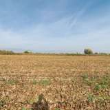  For Sale - (€ 0 / m2), Agricultural 10497 m2 Chrisoupoli 8097694 thumb5