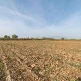  For Sale - (€ 0 / m2), Agricultural 10497 m2 Chrisoupoli 8097694 thumb6