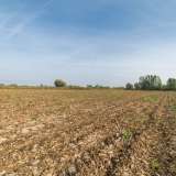  For Sale - (€ 0 / m2), Agricultural 10497 m2 Chrisoupoli 8097694 thumb3