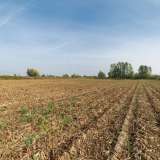  For Sale - (€ 0 / m2), Agricultural 10497 m2 Chrisoupoli 8097694 thumb4