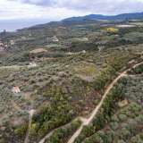  For Sale - (€ 0 / m2), Agricultural 10500 m2 Eleftheres 8097724 thumb8