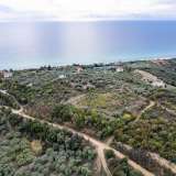  For Sale - (€ 0 / m2), Agricultural 10500 m2 Eleftheres 8097724 thumb4