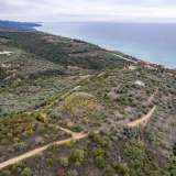  For Sale - (€ 0 / m2), Agricultural 10500 m2 Eleftheres 8097724 thumb2