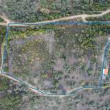  For Sale - (€ 0 / m2), Agricultural 10500 m2 Eleftheres 8097724 thumb1
