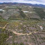  For Sale - (€ 0 / m2), Agricultural 10500 m2 Eleftheres 8097724 thumb9
