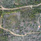  For Sale - (€ 0 / m2), Agricultural 10500 m2 Eleftheres 8097724 thumb6