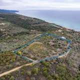  For Sale - (€ 0 / m2), Agricultural 10500 m2 Eleftheres 8097724 thumb0