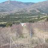  For Rent , Agricultural 2614 m2 Serres 8097732 thumb5