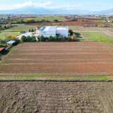  For Sale - (€ 0 / m2), Agricultural 7425 m2 Drama 8097754 thumb2