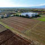  For Sale - (€ 0 / m2), Agricultural 7425 m2 Drama 8097754 thumb3