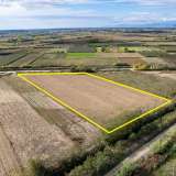  For Sale - (€ 0 / m2), Agricultural 13120 m2 Chrisoupoli 8097795 thumb7