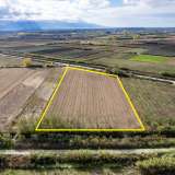  For Sale - (€ 0 / m2), Agricultural 13120 m2 Chrisoupoli 8097795 thumb5
