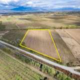  For Sale - (€ 0 / m2), Agricultural 13120 m2 Chrisoupoli 8097795 thumb4
