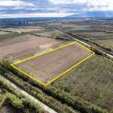 For Sale - (€ 0 / m2), Agricultural 13120 m2 Chrisoupoli 8097795 thumb3