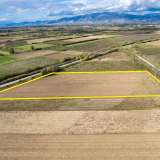  For Sale - (€ 0 / m2), Agricultural 13120 m2 Chrisoupoli 8097795 thumb6