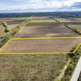  For Sale - (€ 0 / m2), Agricultural 13120 m2 Chrisoupoli 8097795 thumb8
