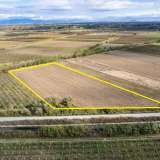  For Sale - (€ 0 / m2), Agricultural 13120 m2 Chrisoupoli 8097795 thumb9