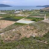  For Sale - (€ 0 / m2), Agricultural 2240 m2 Eleftheres 8097846 thumb9
