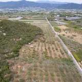  For Sale - (€ 0 / m2), Agricultural 2240 m2 Eleftheres 8097846 thumb3