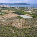  For Sale - (€ 0 / m2), Agricultural 2240 m2 Eleftheres 8097846 thumb5