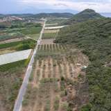  For Sale - (€ 0 / m2), Agricultural 2240 m2 Eleftheres 8097846 thumb4