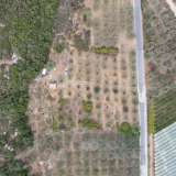  For Sale - (€ 0 / m2), Agricultural 2240 m2 Eleftheres 8097846 thumb8