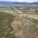  For Sale - (€ 0 / m2), Agricultural 2240 m2 Eleftheres 8097846 thumb1