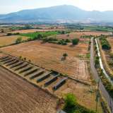  For Sale - (€ 0 / m2), Agricultural 6463 m2 Prosotsani 8097852 thumb1