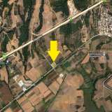  For Sale - (€ 0 / m2), Agricultural 7008 m2 Chrisoupoli 8097874 thumb1