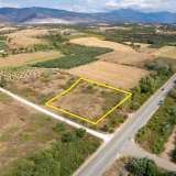  For Sale - (€ 0 / m2), Agricultural 7008 m2 Chrisoupoli 8097874 thumb9